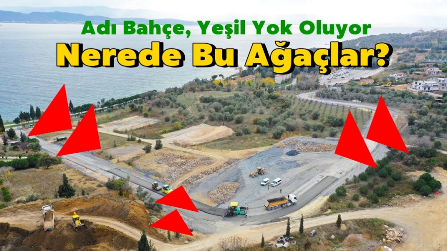 Adı Bahçe, Yeşil Yok Oluyor