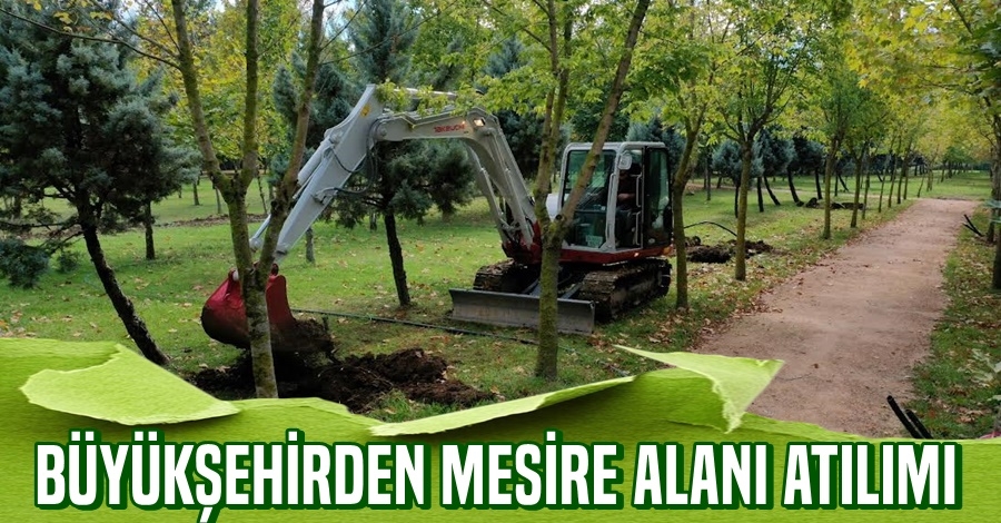 Ataşehir mesire alanında çalışmalar sürüyor