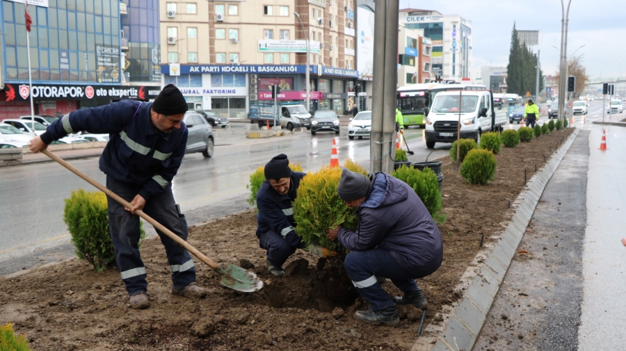 D-100 kuzey yan yolda yeşillendirme çalışması