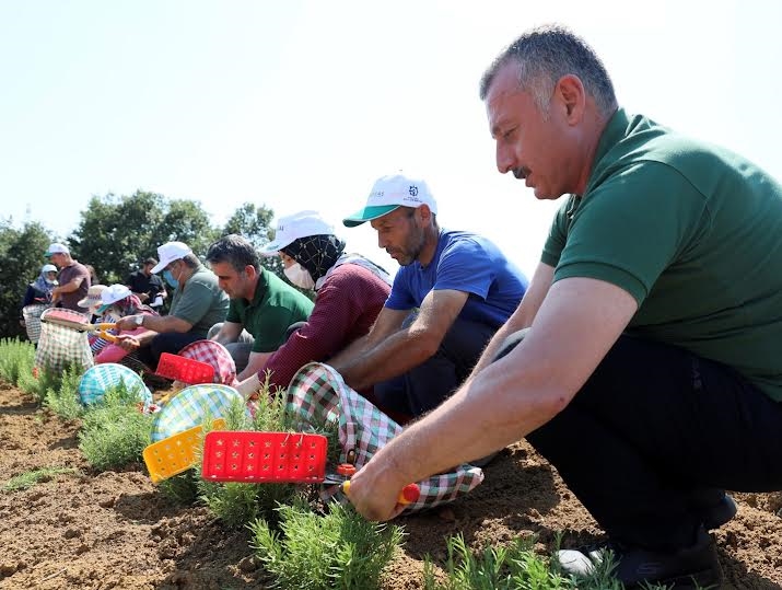 Yüzde 75 hibe desteği
