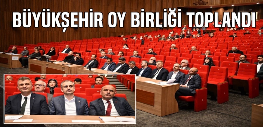 Büyükşehir Oybirliği Toplandı