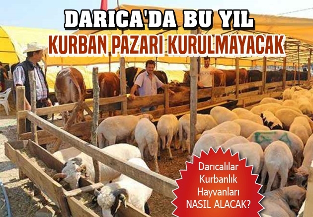 Darıca