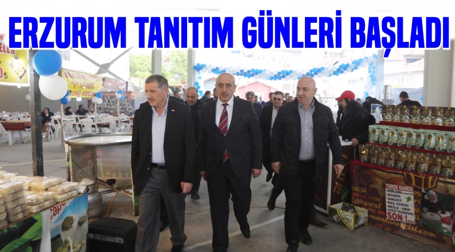 Darıca