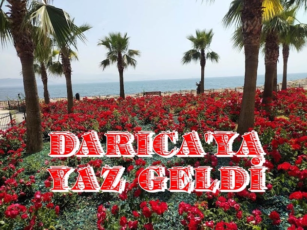 Darıca