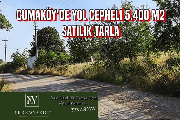 CUMAKÖY