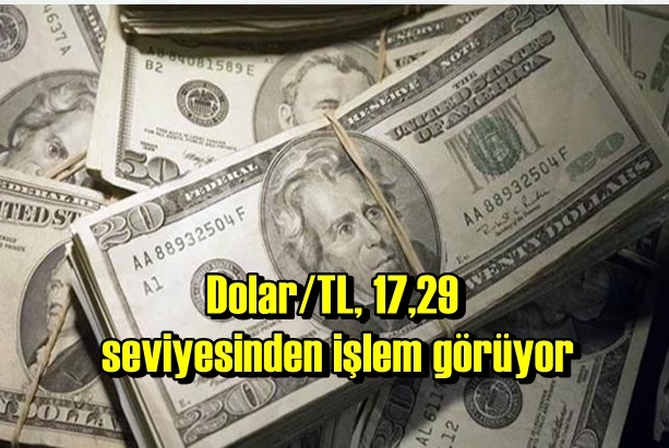 Dolar/TL, 17,29 seviyesinden işlem görüyor