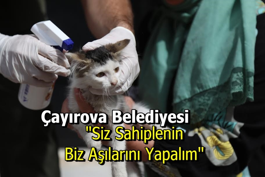 Siz sahiplenin aşılarını biz yapalım!