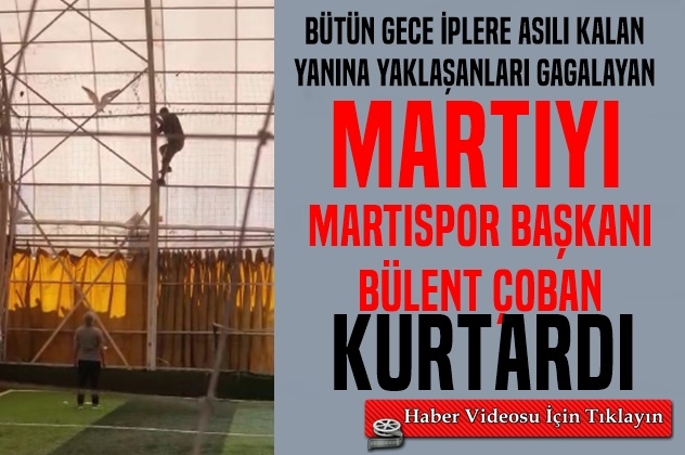 Martıyı Martıspor Başkanı Kurtardı