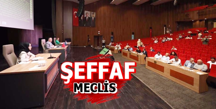 Şeffaf Meclis