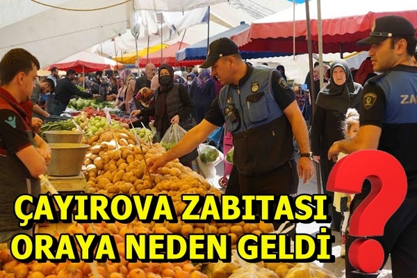 Çayırova Zabıtası Oraya Neden Geldi?