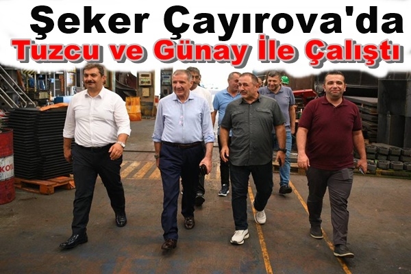 Şeker Çayırova