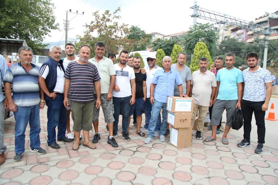 Büyükşehir