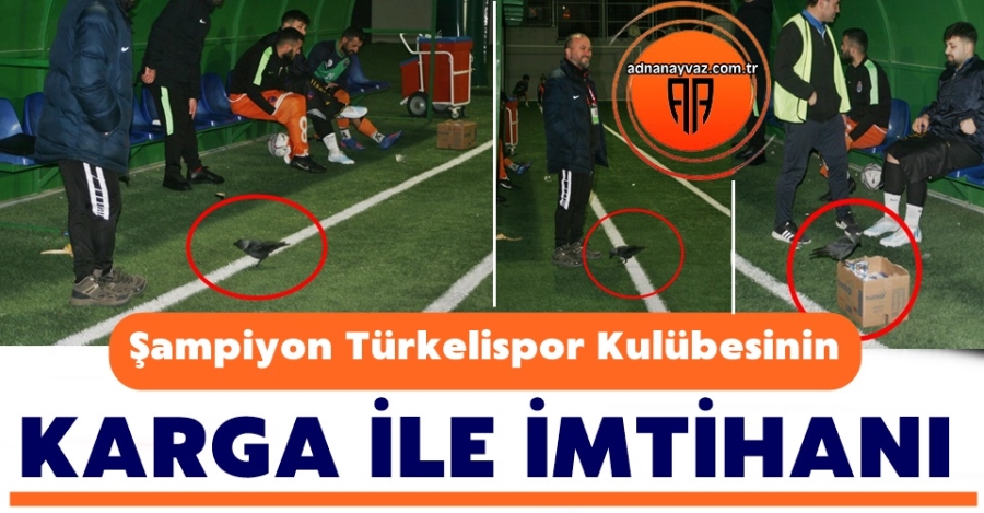 D.Türkelispor Kulübesinin Karga İle İmtihanı