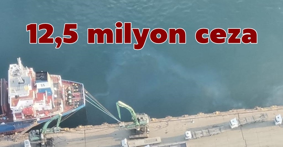  12,5 milyon ceza
