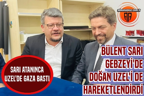 Sarı