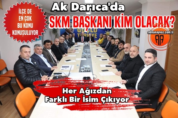 Ak Darıca