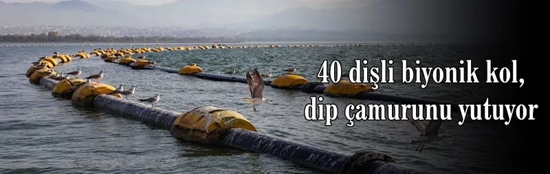 40 dişli biyonik kol, dip çamurunu yutuyor