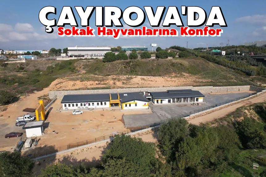 Çayırova