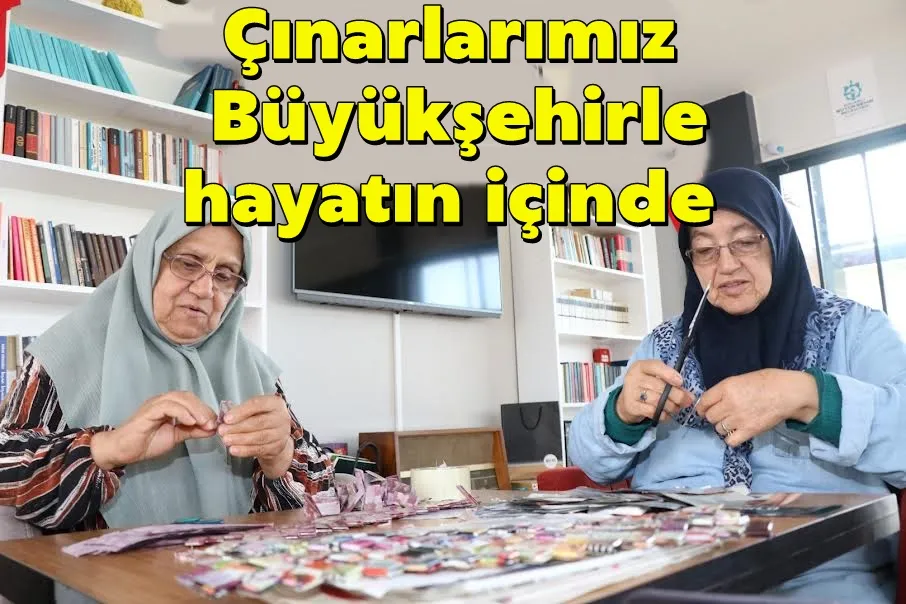 Çınarlarımız Büyükşehirle hayatın içinde