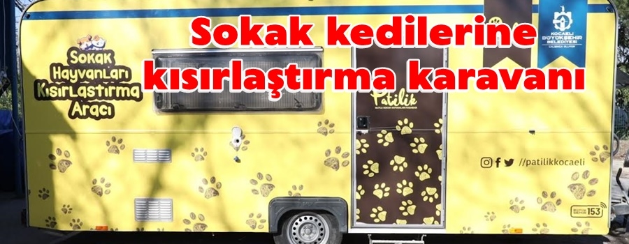 Sokak kedilerine kısırlaştırma karavanı