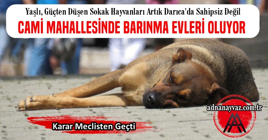 Artık Onlarında Barınma Evleri Olacak
