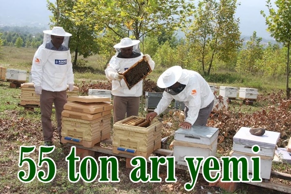 55 ton arı yemi