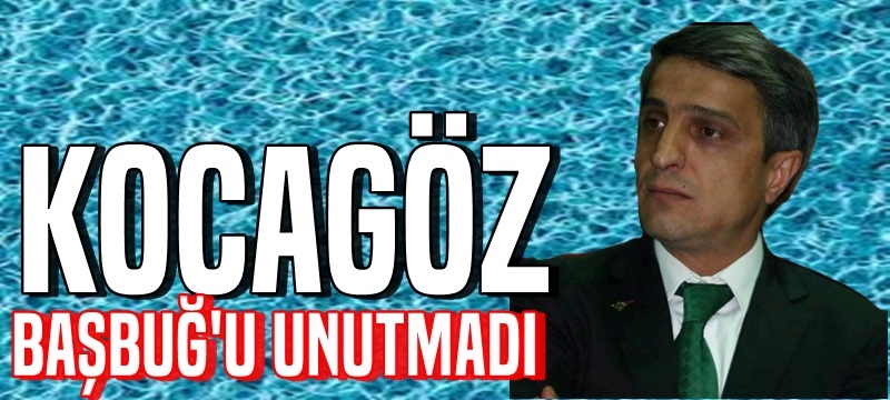 Kocagöz Başbuğ