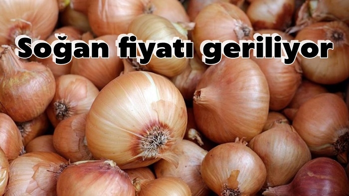 Soğan fiyatı geriliyor