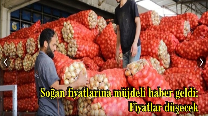 Soğan fiyatlarına müjdeli haber geldi: Fiyatlar düşecek