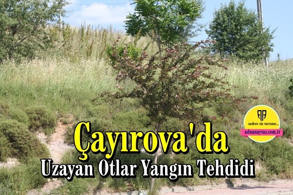 Çayırova