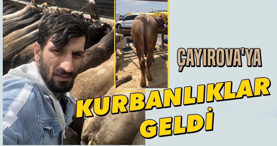 Çayırova
