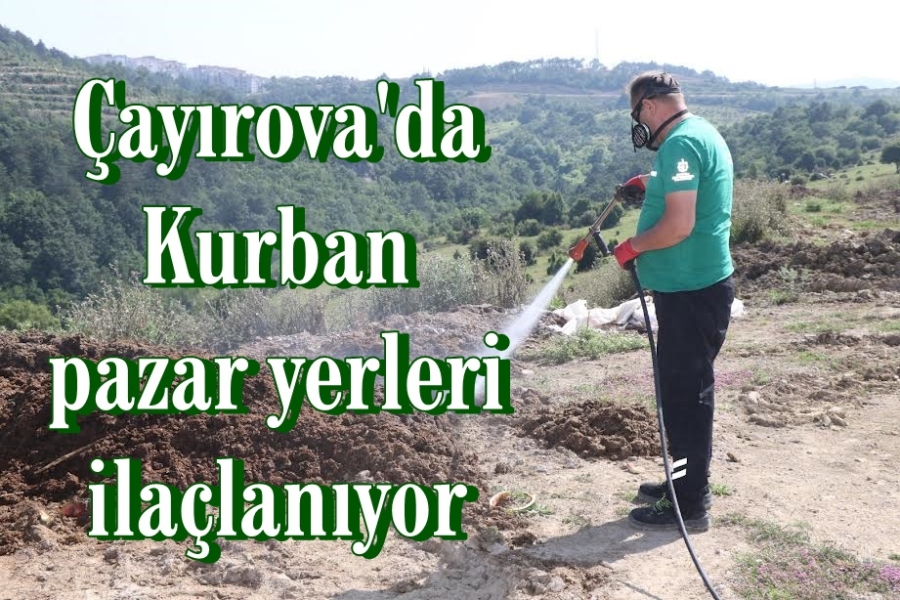 Kurban pazar yerleri ilaçlanıyor