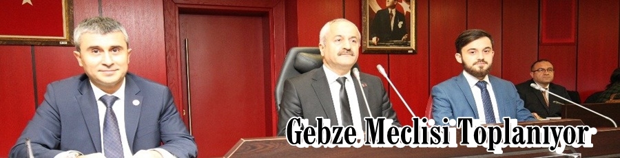 Gebze Meclisi, Toplanıyor