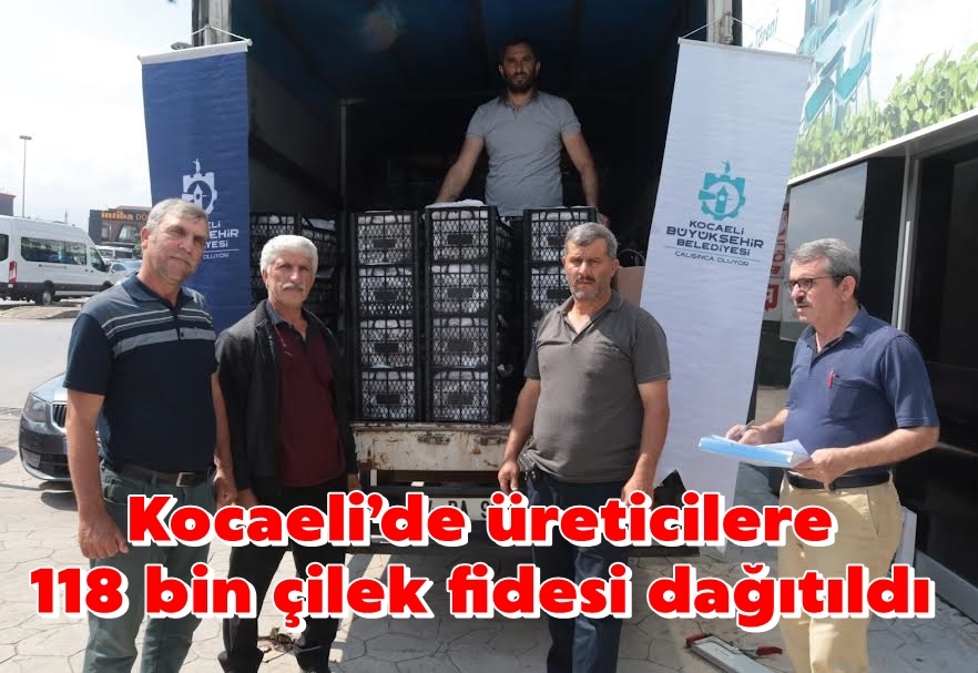 Kocaeli’de üreticilere 118 bin çilek fidesi dağıtıldı
