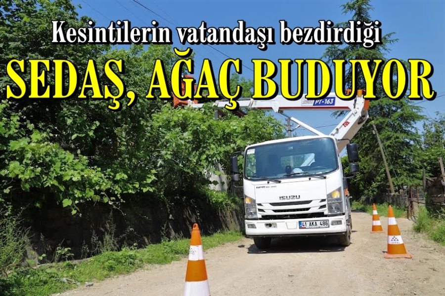 SEDAŞ Ağaç Büdüyor