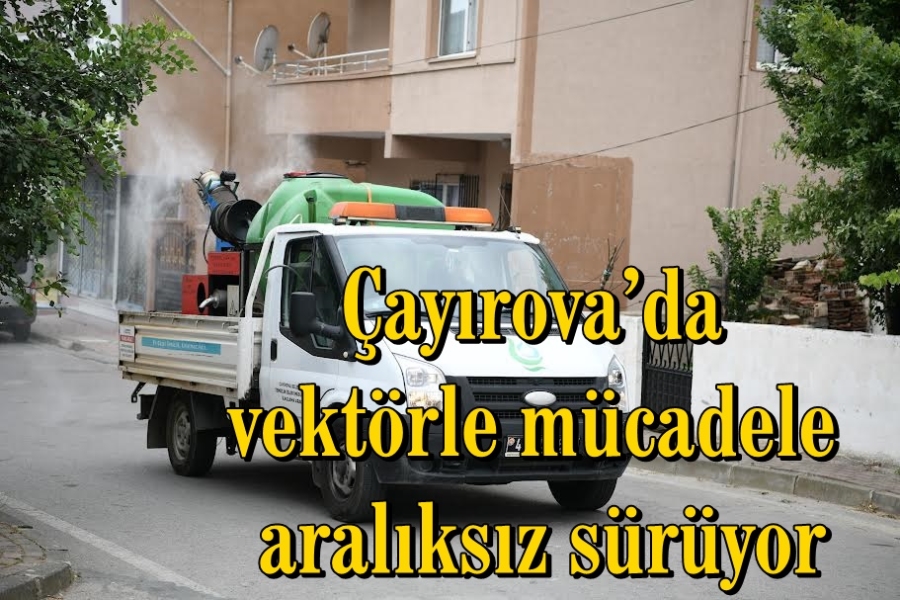 Çayırova’da vektörle mücadele aralıksız sürüyor