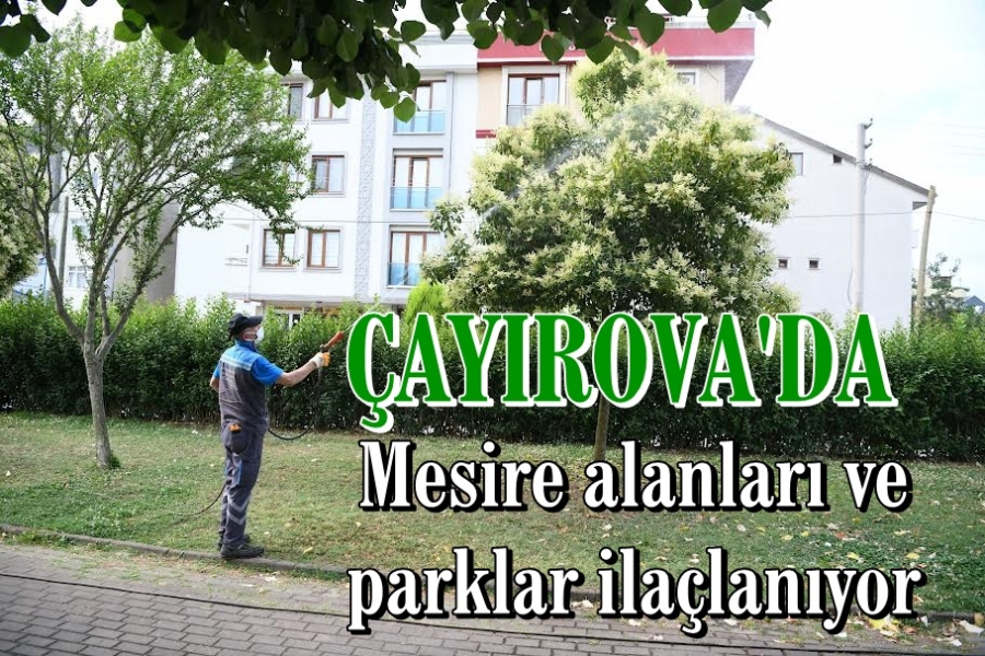 Mesire alanları ve parklar ilaçlanıyor
