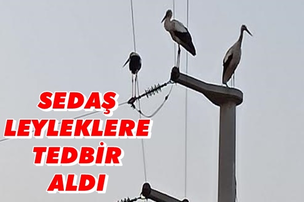 SEDAŞ Leyleklere Tedbir Aldı
