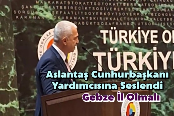 GTO Başkanı Aslantaş, Cumhurbaşkanı Yardımcısı Cevdet Yılmaz’a ‘Gebze İl olmalı’ diye seslendi