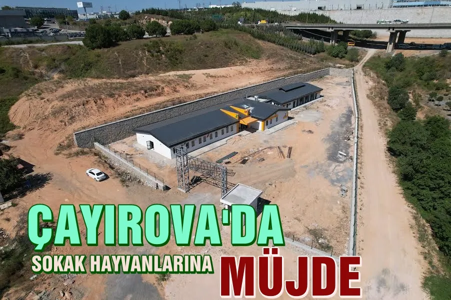 Sokak hayvanları rehabilitasyon merkezinde sona doğru