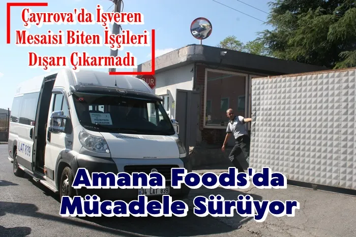Çayırova