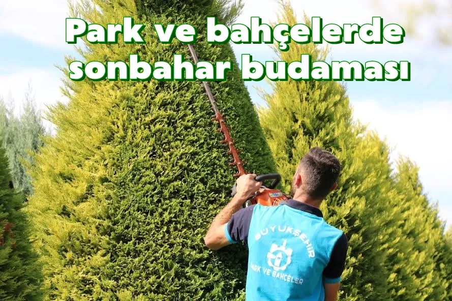 Park ve bahçelerde sonbahar budaması