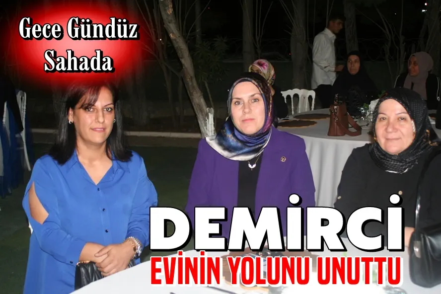 Demirci Evinin Yolunu Unuttu