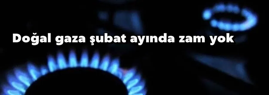 Doğal gaza şubat ayında zam yok