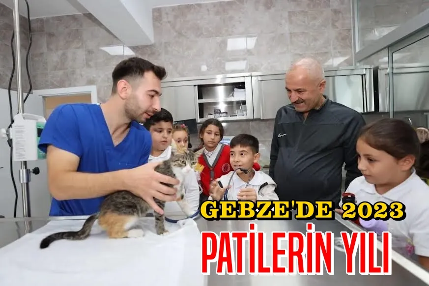 2023 Gebze’de Patili  Canların Yılı Oldu