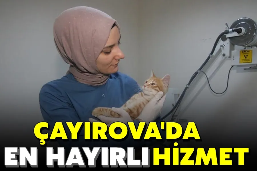 Patili dostlara sahip çıkılıyor