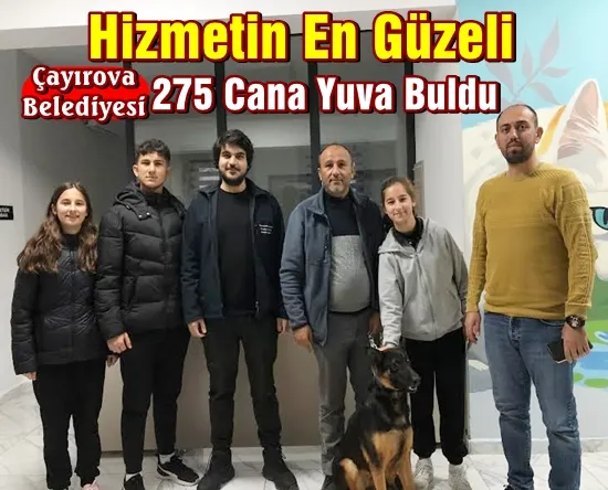 Sokak Hayvanları Geçici Bakımevi, can dostlarımızın yanında