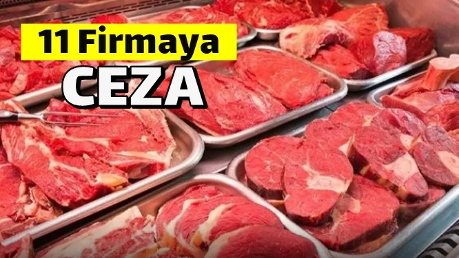 11 firmaya ağır ceza!
