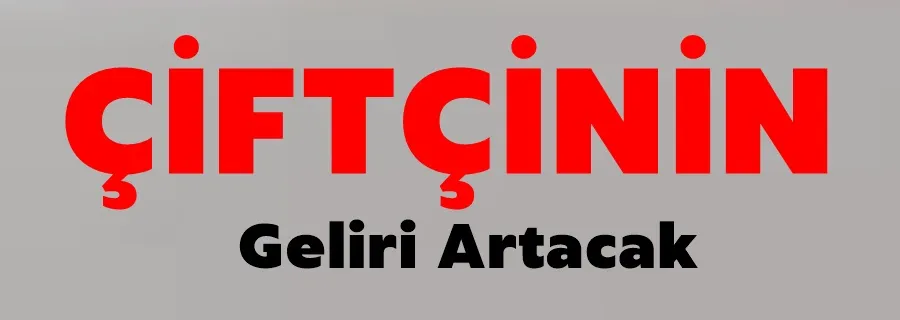 Çiftçinin Geliri Artacak