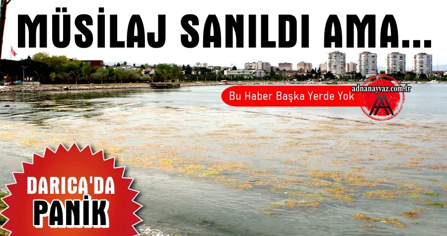 Darıca